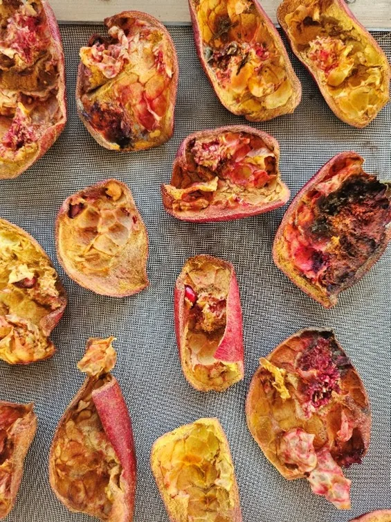 Dried pomegranate peels laid out on a tray in the courtyard sun, deep crimson and jewel-toned