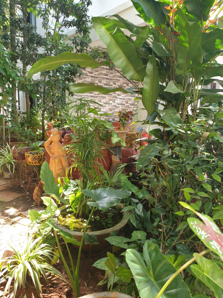 What to learn from a decade of Home Composting?