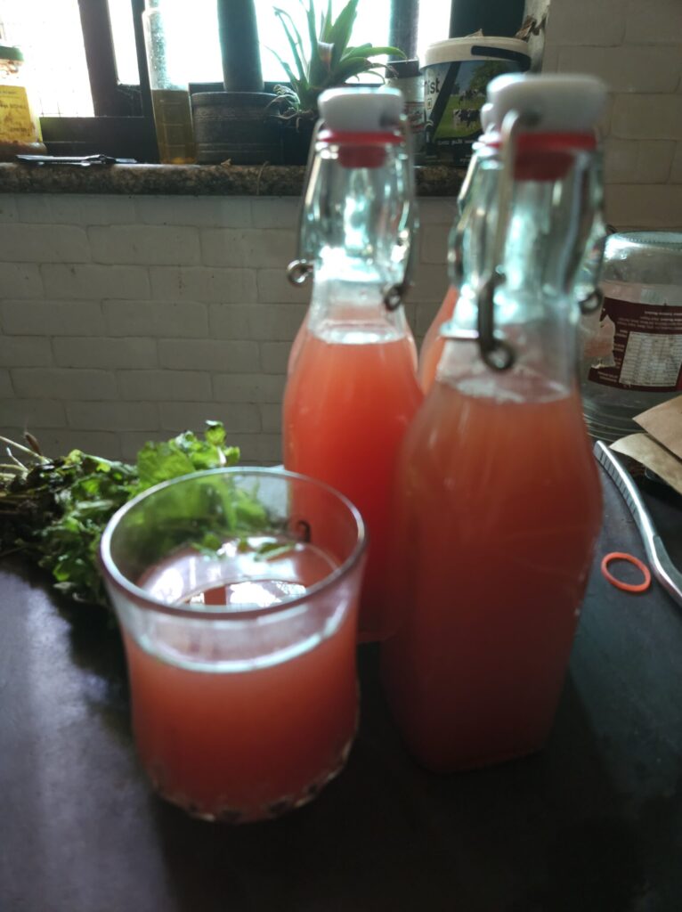 5 Easy Homemade Drink Recipes Using Natural Ingredients (No Fancy Equipment Needed)